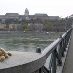 Bridge 2